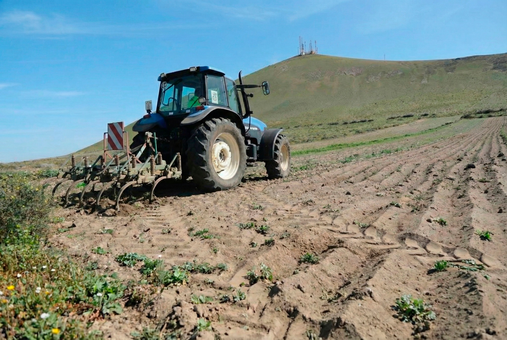 ¿Sabías que en San Bartolomé puedes pedir arado y rastrillado GRATIS para tu finca? 🚜🌱
En 2025 se hicieron 584 actuaciones… y puedes solicitarlo hasta 2 veces al año.

Esto es una forma real de bajar costes, mantener tierras activas y cuidar el paisaje agrícola. 🌋🖤

📍Se solicita presencialmente en Alcaldía, por teléfono con el técnico de Agricultura (ext. 1234) o por email: agricultura@sanbartolome.es

¿Lo conocías? ¿En qué cultivo lo usarías tú? 👇

#Lanzarote #SanBartolomé #SectorPrimario #AgriculturaCanaria #campolanzarote 
Noticia: Lanzelot Digital